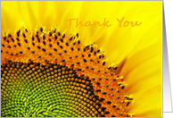 Macro Sunflower, Thank You Card,Gift,General card