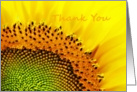 Macro Sunflower, Thank You Card,Gift,General card