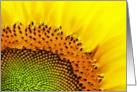Macro Sunflower, Blank Card, Any Occasion card