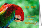 Missed Birthday Parrot Macaw Bird Card For Anyone card