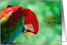 Sick - Not Feeling Well Parrot Macaw Bird Card For Anyone card