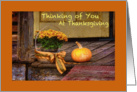 Thinking of You at Thanksgiving, Anyone, Basket of Mums, Pumpkin card