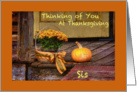 Thinking of Sis at Thanksgiving, Basket of Mums and Pumpkin on Porch card