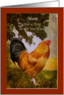 Thinking of Mom Vintage Chanticleer Rooster Card