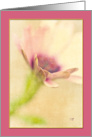 Lavender Bordered Floral Blank Card