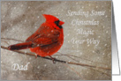 Christmas Magic For Dad Red Cardinal In Snow card