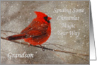 Christmas Magic For Grandson Red Cardinal In Snow card