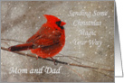 Christmas Magic For Mom and Dad Red Cardinal In Snow card