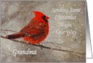 Christmas Magic For Grandma Red Cardinal In Snow card