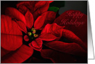 Happy Holidays Red Poinsettia for Anyone Card