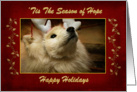 ’Tis The Season of Hope Happy Holidays Samoyed Dog Blank Inside card