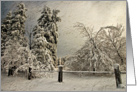 Snow Laden Trees In Wintry Blizzard Blank Card