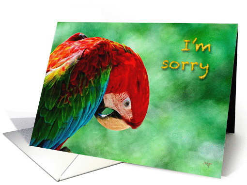 I'm Sorry Parrot Macaw Bird For Anyone card (1024451)