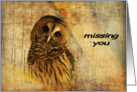 Barred Owl With Textures - Missing You card