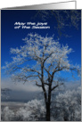 Winter Holidays - Snowy Tree Against Winter Blue Sky card