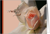 Thank You - Painted Pink Rose With Border card
