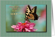 Tiger Swallowtail Butterfly on Cone Flower - Feel Better card