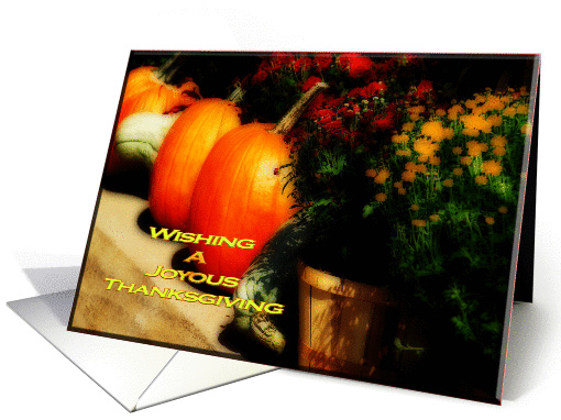 Thanksgiving Joy pumpkins mums gourds card (484804)