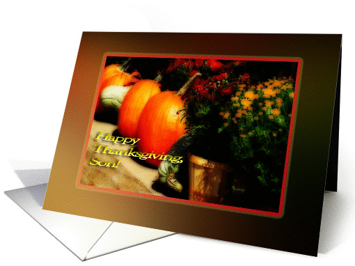 Thanksgiving son mums pumpkins gourds border card (484852)
