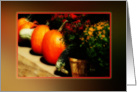 Blank Thanksgiving Border pumpkins mums gourds card