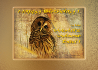 Birthday Dad Owl...