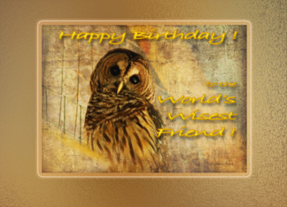 Birthday Friend Owl...