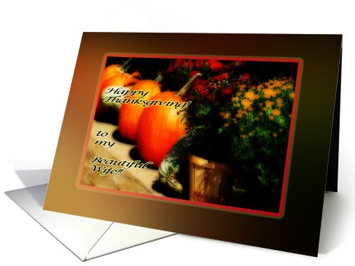Thanksgiving wife border pumpkins mums goards orange card (490554)