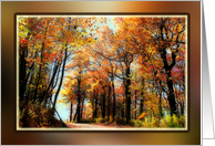 Country Road in Autumn Colors card