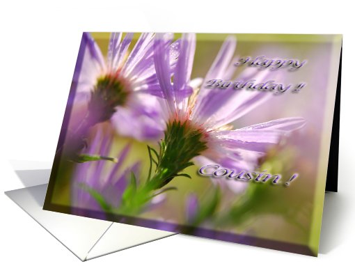 Happy Birthday Cousin Asters card (491321)
