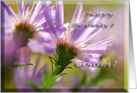 Happy Birthday Cousin Asters card