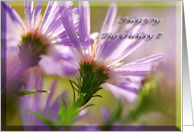 Happy Birthday Asters card