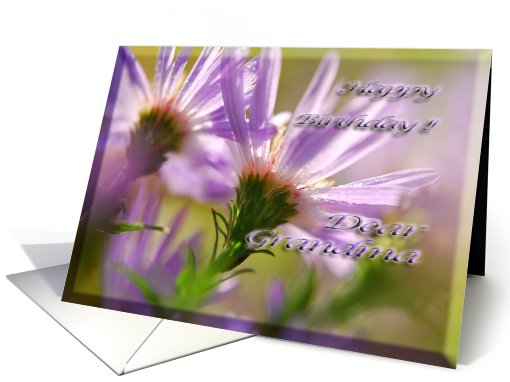 Happy Birthday Grandma Asters card (491340)