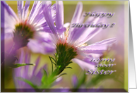 Happy Birthday Sister Asters card
