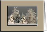 Snowy Trees On Gold card