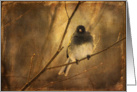 Bird on Winter Branch Blank Card