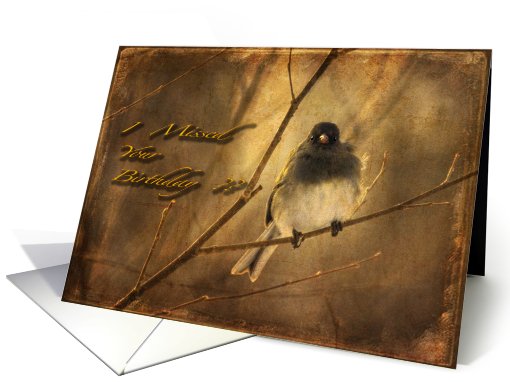 Bird on Winter Branch Missed Birthday - Bird Brain card (500072)