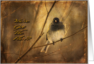 Bird on Winter Branch - Get Well - Flu card