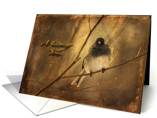 Bird on Winter Branch Missing You Birthday card (500100)