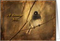Bird on Winter Branch Missing You Birthday card