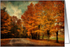 Country Drive in Autumn - Blank Card