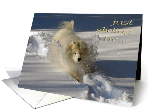 Dog in Snow Birthday General card (571430)