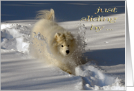 Dog in Snow Birthday General card