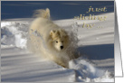 Dog in Snow Birthday General card