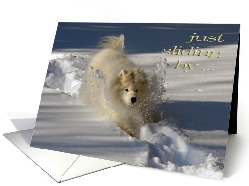 Dog in Snow Anniversary General card (571436)