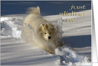 Dog in Snow...