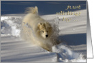 Dog in Snow Anniversary General card