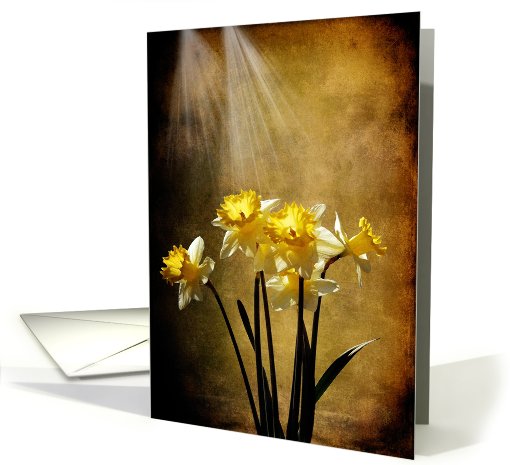 Spring Sun - Blank card (581875)