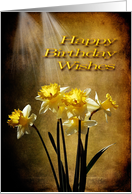 Spring Sun - Birthday Card