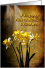 Spring Sun - Birthday Card