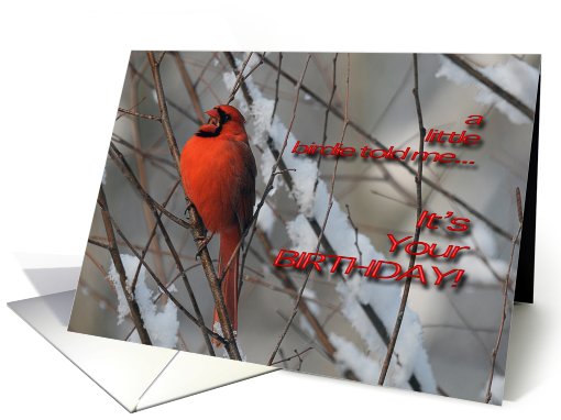 Red Cardinal In Snow - Birthday card (584638)